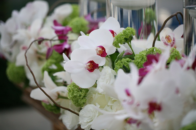 white and purple orchid arrangements for weddings elena damy floral