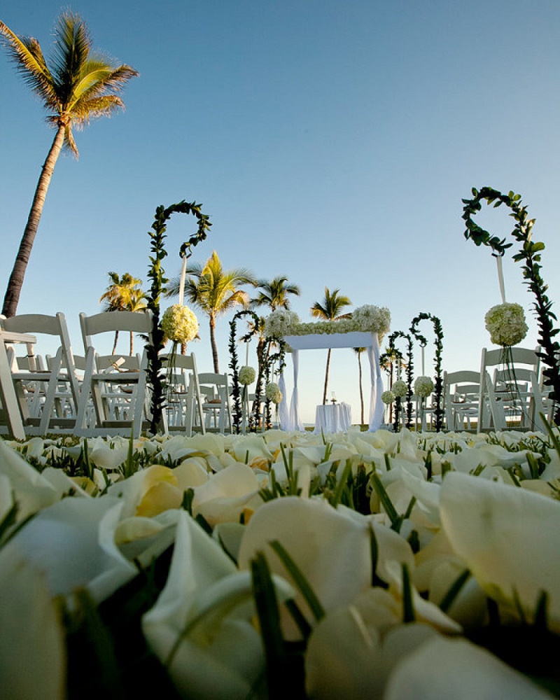 outdoor wedding ceremonies los cabos mexico elena damy floral design