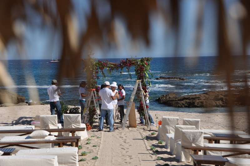 red and purple flowers beach weddings mexico elena damy floral design los cabos ceremony chupah
