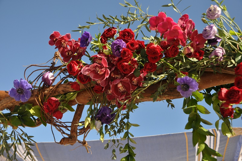 red and purple flowers beach weddings mexico elena damy floral design los cabos jewish wedding canopy for beach