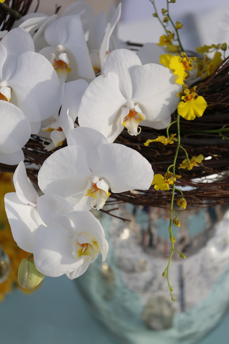 beach weddings elena damy destination wedding planners white orchids aqua linens chris plus lynn 18