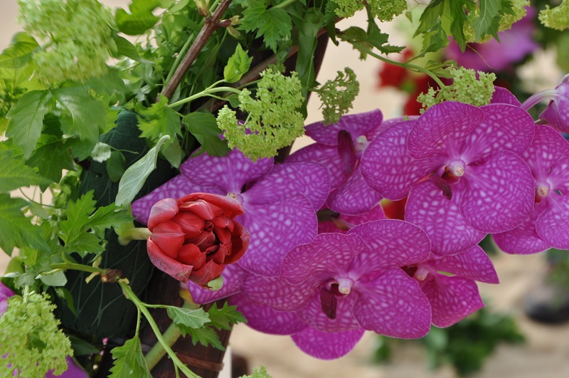 purple vanda orchids red roses wedding flowers destination weddings mexico elena damy tee pee proposal