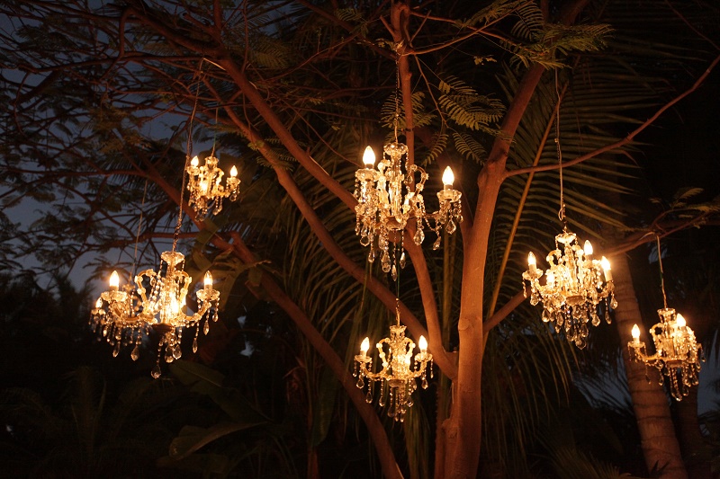 chandeliers in palm trees Cabo Weddings One and Only Palmilla Elena Damy Event Design Cabo Chris Plus Lynn Photo
